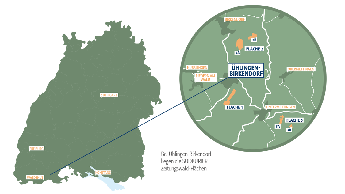 suedkurier-zeitungswald-flaechen-2025 suedkurier-zeitungswald-flaechen-2025